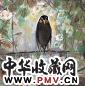 林风眠 梅花只鸟 镜心 设色纸本