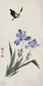 江寒汀 鸢尾蝴蝶 镜心 设色纸本