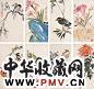 江寒汀 花鸟 册页(24开选8)