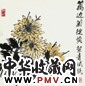 胡絜青 花虫 立轴 纸本
