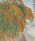 胡絜青 1959年 谷丰图 立轴 设色绢本