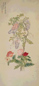 清初 恽冰 花卉 轴