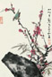 金默如 梅花小鸟