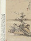 清 张宗苍 古木寒鸦图 轴