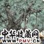 赵准望 2002年作 江南早春图 镜心 设色纸本