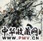 史国良 人物 轴