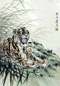 胡爽庵 虎 立轴 设色纸本