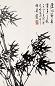胡爽庵 竹 立轴