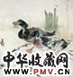 张书旂 双鹅 立轴 设色