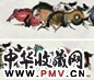 韩美林 1993年作 群马图 镜心 设色纸本