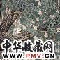 方楚雄 绝无人迹处 空山花自开 镜心 设色纸本