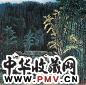 李行简 2003年作 竹林人家 镜心 设色纸本