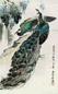 当代 袁晓岑 孔雀 镜心