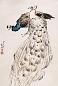 袁晓岑 孔雀 立轴 纸本