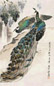 袁晓岑 孔雀 立轴 设色纸本