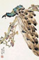 袁晓岑 花鸟 片