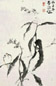 霍春阳 丙子(1996年)作 花憩 镜心 设色纸本