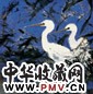 王乃壮 花鸟 镜心 设色纸本