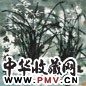 王乃壮 兰花 镜心 纸本
