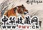 黄独峰 老虎 立轴 设色纸本
