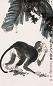 王为政 猿 立轴 纸本
