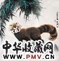 王为政 2005年作 小熊猫 镜心 设色纸本
