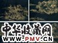 方琮 溪山怡游 册页(12开选4) 金绘磁青纸本