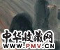 吕寿琨 1962年作 雨中山色 镜心 设色纸本