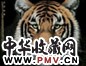 孟祥顺 辛巳(2001年)作 王者雄风图 镜心 设色纸本