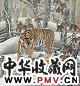 孟祥顺 虎啸图 镜心 设色纸本