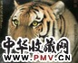孟祥顺 王者神气图 镜心