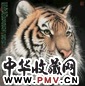 当代 孟祥顺 虎 镜心