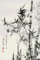 溥松窗 墨竹 立轴 设色