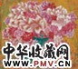 陈向迅 1995年作 瓶花 镜心 设色纸本