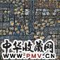 陈向迅 墙花 镜心 设色纸本