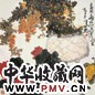 高冠华 菊花 镜心 设色纸本