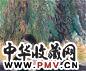 何多苓 1992年作 岸边绿柳 油彩布面