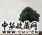 何多苓 向树走去