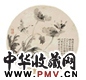 蒋朔 花蝶 扇面 绢本
