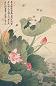 俞致贞 刘力上 辛未(1991年)作 荷花 立轴 设色绢本