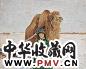 龙力游 骆驼与小孩 布面油彩