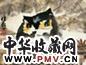 舒传曦 护夜神 镜心 设色纸本