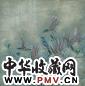 江宏伟 当代 鸣春 镜心
