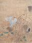 江宏伟(1998年)作 花鸟 镜心 设色纸本