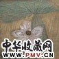 江宏伟 荷花图 片 设色纸本