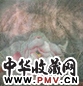江宏伟 花卉 镜心 设色纸本
