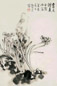 康师尧 水仙 镜心 设色纸本