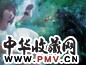 章剑 三粒葡萄