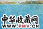 章剑 2004年作 後海 油画 画布