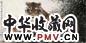 陈莲涛 卧虎图 横幅 设色纸本